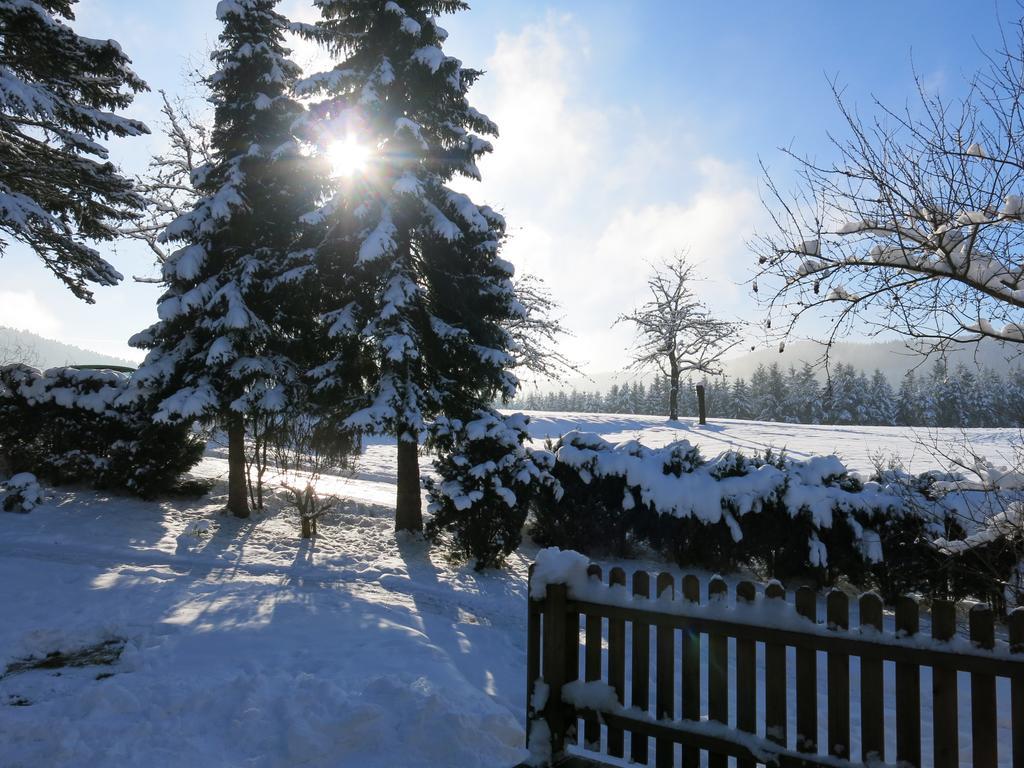 Ferienwohnung Tischneck Schramberg Rom bilde